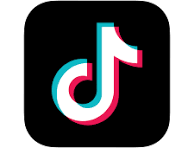 tiktok icon